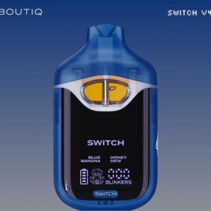 boutiq switch v4